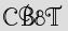 Security Captcha