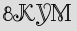 Security Captcha