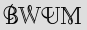 Security Captcha
