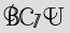 Security Captcha