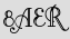 Security Captcha