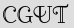 Security Captcha